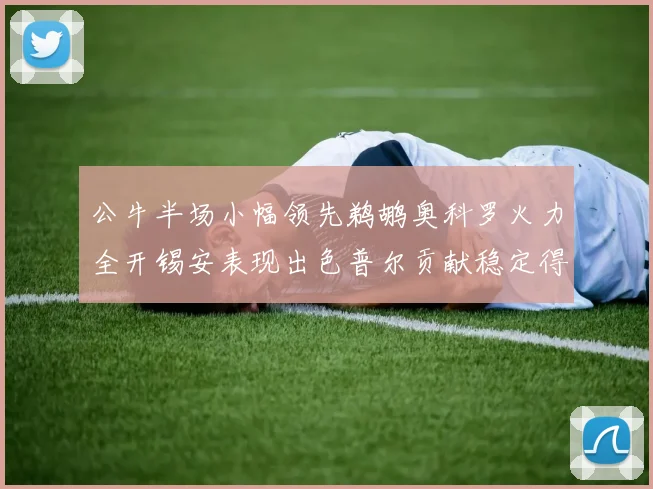 公牛半场小幅领先鹈鹕奥科罗火力全开锡安表现出色普尔贡献稳定得分
