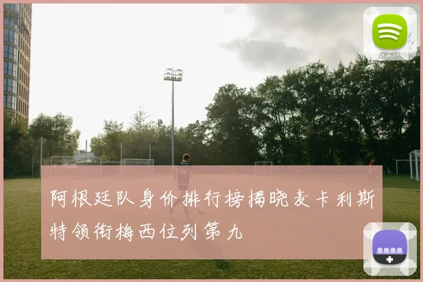 阿根廷队身价排行榜揭晓麦卡利斯特领衔梅西位列第九