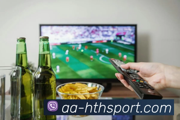 多媒体互动体验